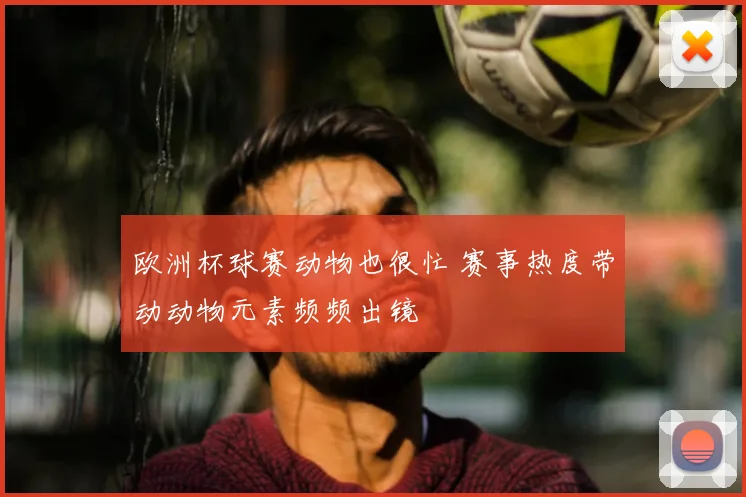 欧洲杯球赛动物也很忙 赛事热度带动动物元素频频出镜