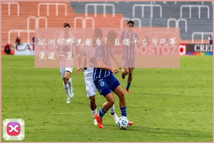 欧洲杯哪里能看？直播平台与观赛渠道一览