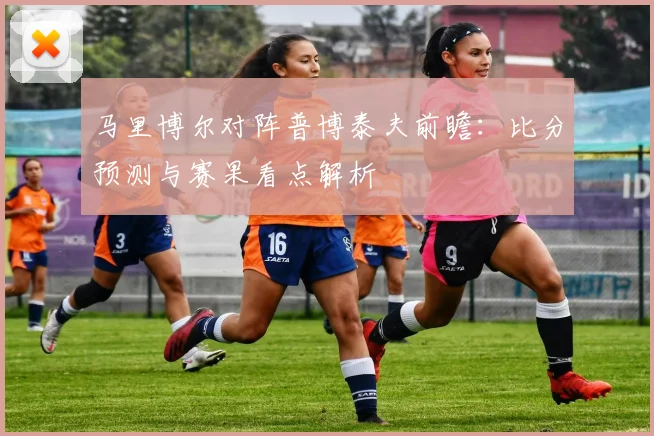 马里博尔对阵普博泰夫前瞻：比分预测与赛果看点解析