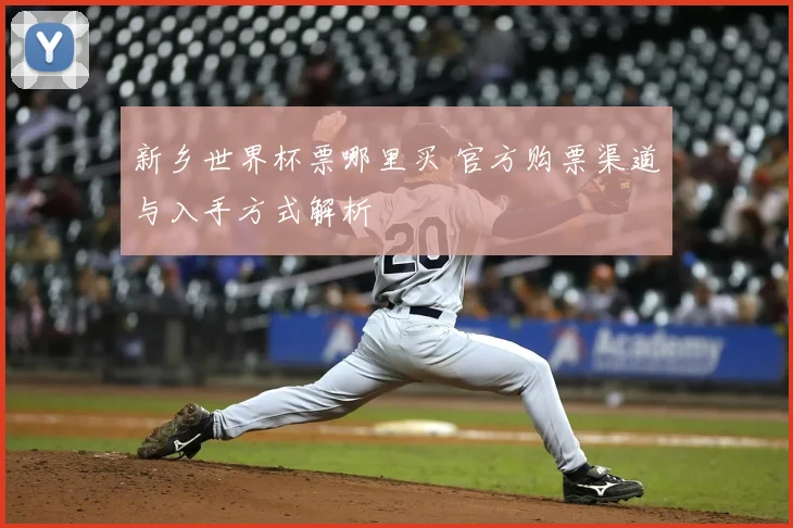 新乡世界杯票哪里买 官方购票渠道与入手方式解析