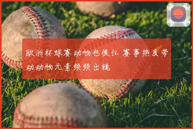 欧洲杯球赛动物也很忙 赛事热度带动动物元素频频出镜