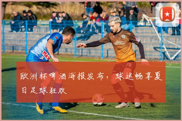 欧洲杯啤酒海报发布，球迷畅享夏日足球狂欢