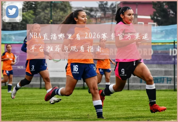NBA直播哪里看 2026赛季官方渠道平台推荐与观看指南